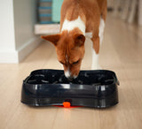 4-in-1 Slow Feeder Dog Bowl - Dark Grey Bowl with Blue Lickmat - Extra Image