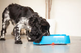 Marley Slowappy Slow Feeder  Bowl - Blue - Side View