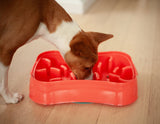 Marley Slowappy Slow Feeder  Bowl - Warm Ocean Red - Rear View