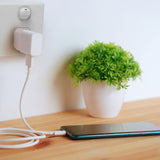 Laser USB Type-C 3.1 to A Cable 1M White - Front View