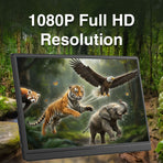 Laser 15.6 Portable Monitor with touch screen