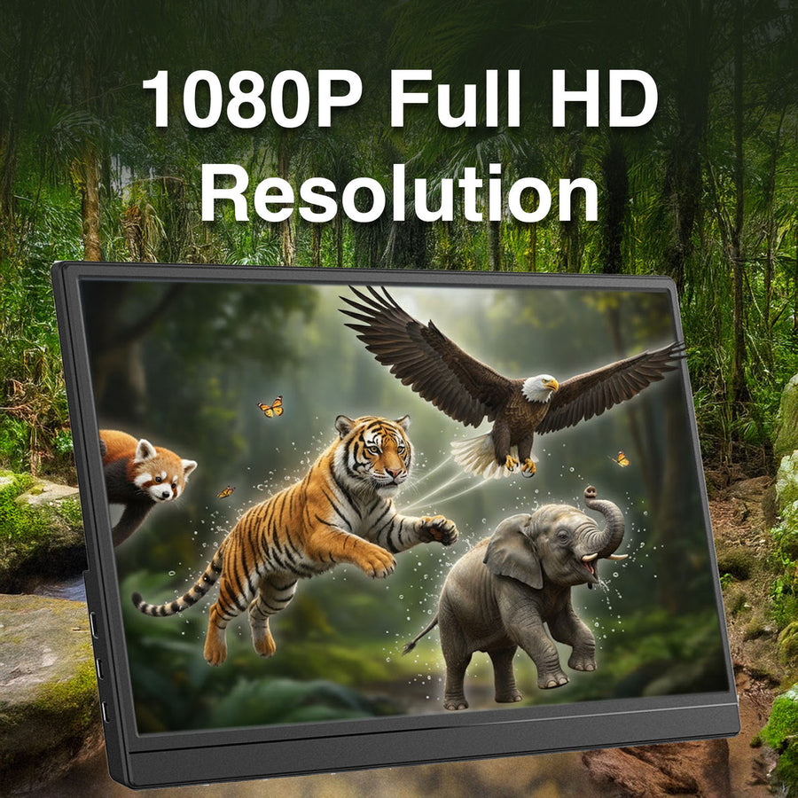 Laser 15.6 Portable Monitor with touch screen