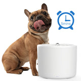 Tech4Pets 2L Smart Water Fountain with UV Filter for Pets - Top-Down View