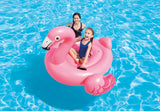 Intex Pink Flamingo Ride-On Pool Float 57558 - Front View