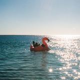 Intex Mega Flamingo Inflatable Pool Island Float 57288 - Rear View