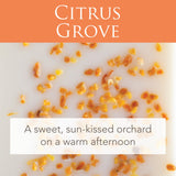 Citrus Grove 2.5 Oz Artisan Melts