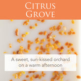 Citrus Grove 2.5 Oz Artisan Melts - 45-Degree Angle