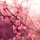 Pink Love Spell 2.5 Oz Artisan Melts - Side View