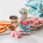 Agave & Guava Classic Wax Melts 2.5oz