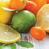 Sugared Citrus Wax Melts 2.5oz - Side View