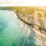 Island Paradise Odor Eliminating Melts 2.5oz - Front View