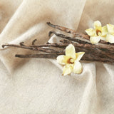 Vanilla Dream Scents - Front View