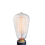 NP3 Bulb Edison