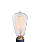 NP3 Bulb Edison