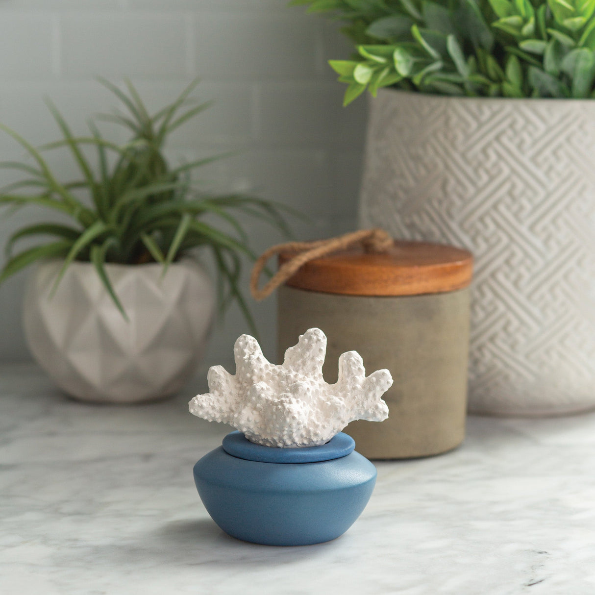 Coral Porcelain Passive Diffuser