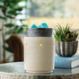 Iron and Clay Illumination Warmer