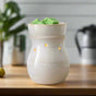 Frosted Farmhouse Illumination Warmer