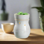 Frosted Farmhouse Illumination Warmer