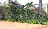 Samland 5.5m Merry Christmas Sign Led Rope Light Commercial - Side View