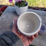 Mixed, hand-made succulent planters x 5 - Top-Down View