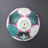 Commemorative high-quality No. 5 football - made of PU material, explosion-proof, waterproof, wear-resistant, soft and does not hurt feet. Three-piece set of net bag, air needle and air pump, suitable for competitions, training, indoor/outdoor entertainme - Low Angle