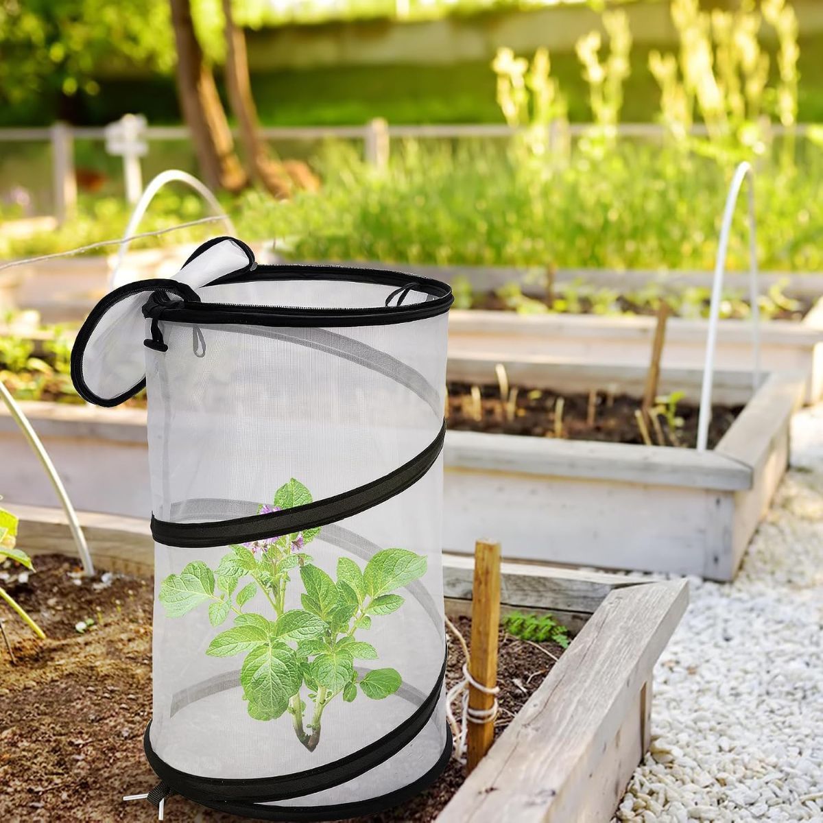 4Pack Pop Up Insect Barrier Plant Cover Net, 19.6" x 11.8" Round Foldable Plant Protectors Mesh Plant Enclosure, Garden Net Cage Guard Cover with Stakes & Carry Bag for Protect Plants from Bird Insect - White
