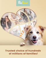 pet products Pet products Professional Rechargeable Cordless Dogs Cats Horse Grooming Clippers - Professional Pet Hair Clippers with Comb Guides for Dogs Cats Horses and Other House Animals Pet Grooming Kit - Close-Up Angle