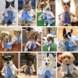 pet products Funny Small Dog Doctor Coat Onesie - Cat & Puppy Halloween Costume - Doctor Uniform Apparel - 45-Degree Angle