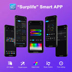 Bluetooth Colorful G40 Led Bulb String Lights