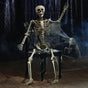 Life Size Standing Skeleton with Movable Joints