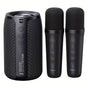Wireless Speaker with Dual Karaoke Microphones