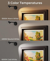 Picture Light for Wall, Battery Operated Art Light for Paintings CCT Dimmable Recharging Gallery Battery Wall Light with Remote Control for Living Room Gallery Dartboard Art Bathroom 2PCS