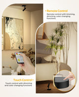 Spotlights Indoor, No-Glare Rechargeable Floor Can Light for Plants with Remote, Wireless Art Accent Spot Lights Uplight for Painting, Picture, Dartboard, Home, Corner Sofa Display - 45-Degree Angle