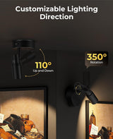 Zoomable Spot Lights Indoor, Rechargeable Picture Light with Remote, Dimmable CCT Spotlight for Wall Art, 6000mAh Uplights with Timer for Plant Artwork Painting Sofa Corner Black 2Pack - 45-Degree Angle