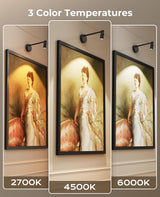 Zoomable Picture Light for Wall, Battery Operated Art Light for Paintings CCT Dimmable Spotlight for Wall Art Wall Light with Remote Control for Living Room Gallery Dartboard Bathroom 2PCS - Top-Down View