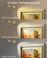 Picture Light for Wall, Battery Operated Art Light for Paintings CCT Dimmable Recharging Gallery Battery Wall Light with Remote Control for Living Room Gallery Dartboard Art Bathroom - 45-Degree Angle