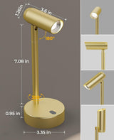 Picture Light for Wall, Battery Operated Art Light for Paintings CCT Dimmable Recharging Gallery Battery Wall Light with Remote Control for Living Room Gallery Dartboard Art Bathroom