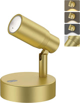 Spot Lights Indoor, Rechargeable Picture Light with Remote, Dimmable CCT Spotlight for Wall Art, 6000mAh Battery Uplights Indoor with Timer for Plant Artwork Painting Sofa Corner Light Gold