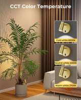 Spot Lights Indoor, Rechargeable Picture Light with Remote, Dimmable CCT Spotlight for Wall Art, 6000mAh Battery Uplights Indoor with Timer for Plant Artwork Painting Sofa Corner Light Gold - Top-Down View