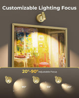 Spot Lights Indoor, Rechargeable Picture Light with Remote, Dimmable CCT Spotlight for Wall Art, 6000mAh Battery Uplights Indoor with Timer for Plant Artwork Painting Sofa Corner Light Gold - Front View