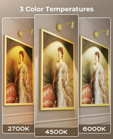 Picture Light for Wall, Battery Operated Art Light for Paintings CCT Dimmable Spotlight for Wall Art Wall Light with Remote Control for Living Room Gallery Dartboard Bathroom Light Gold - Top-Down View