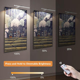 Picture Lights for Wall Plug in or Hardwired,3000K Warm White Dart Board Lights with Remote,13.5inches Silver LED Art Light Dimmbare mit Timer for Gallery Paintings Picture Dartboard - Low Angle
