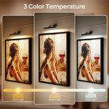 Picture Lights for Wall, Battery Operated Picture Light 16in Gallery Light for Paintings CCT Dimmable Recharging Battery Wall Light with Remote Control for Living Room Dartboard Art Black - Front View