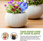 4 pcs Self-Watering Glass Plant Watering Balls