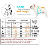 500pcs Cartoon Animal Roll Stickers Bee Horse Dog Chicken Frog Unicorn Notebook Stickers Waterproof Self-adhesive Paper with Hefe Frog