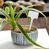50 Pieces 15.5Cm Outdoor Plant Large Labels Outdoor Plastic Vegetable Garden, White - Top-Down View