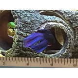 Aquarium Decoration Resin ROot, Aquarium Cave Tree Decoration Artificial Cave For Aquarium Ornaments Home Decor Garden - Top-Down View