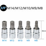 10 pcs M4 - M18 Torx Spline Bit Socket Set - Triple Square Socket Set With Storage Case - Top-Down View