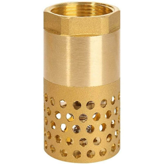 1 Inch Pump Check Valve - Foot Valve Strainer Check Valve (1 Inch)