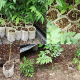 500 pcs Non-Woven Plant Bags, Biodegradable Non-Woven Fabric Plant Bags Seedling Grow Bags For Tomatoes, Flowers, - Top-Down View